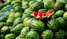 南充网红杜萧吃瓜,吃瓜成瘾，揭秘娱乐圈幕后风云